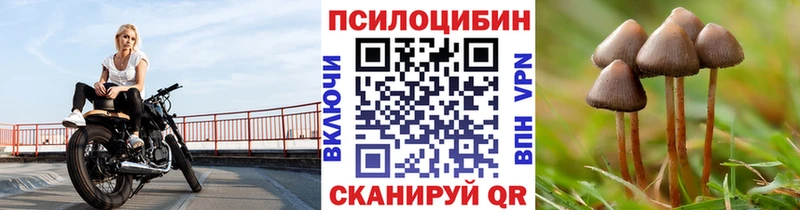 цены наркотик  Красноуральск  Псилоцибиновые грибы мицелий 